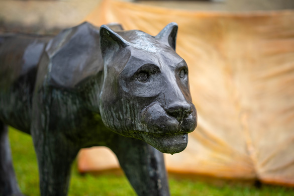 Relativní bezpečí