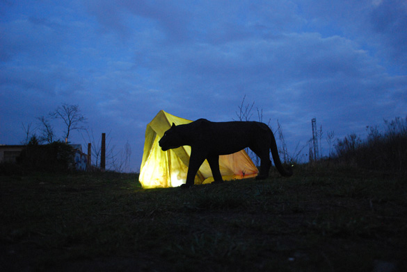 Relativní bezpečí