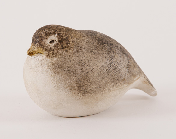 Ptáček šediváček